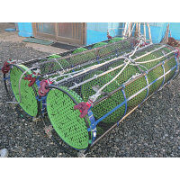 サンコー 延縄ザル 2尺ー2 30011000GR601 1個（直送品）