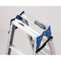 Hasegawa(長谷川工業) アルミ合金 軽量 はしご兼用脚立スタンダードタイプ 4段 (4尺 110cm) RD2.0-12 1台（直送品）