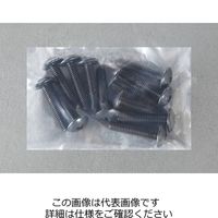 エスコ M4x25mm トラス頭小ねじ(ステンレス/黒色/10本) EA949TG-425 1セット(300本:10本×30袋)（直送品）