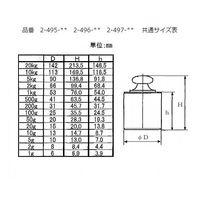 大正天びん製作所 円筒分銅 M1CSBー20GA 20g 2-496-10 1個（直送品）