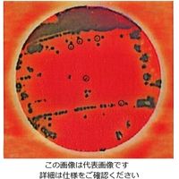 ネオジェンジャパン サルモネラ属菌測定用プレート(ペトリフィルム(TM)培地)1箱(25枚×2袋入) 6536SALX 1箱(50枚)（直送品）