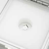 アズワン 分銅 Eー2級 50mg 1個 3-1586-13（直送品）