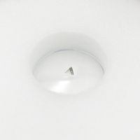 アズワン 分銅 Eー2級 1mg 1個 3-1586-18（直送品）