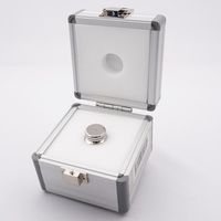 アズワン 分銅 Fー1級 100g 1個 3-1587-03（直送品）