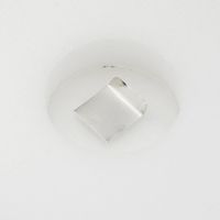 アズワン 分銅 Fー1級 20mg 1個 3-1587-14（直送品）