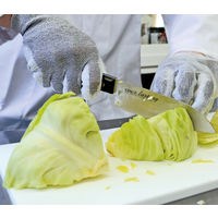 アトム 耐切創手袋 13G スペクトラガード PUコート L HG-71-L 1双 472-8408（直送品）