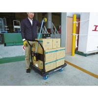 トラスコ中山 TRUSCO キャリーベルトセット CB-300NSET 1セット(1個) 489-5886（直送品）