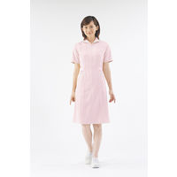 住商モンブラン ナースワンピース（半袖） 医療白衣 ピンク/白 L 73-1972（直送品）