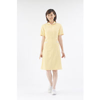 住商モンブラン ナースワンピース（半袖） 医療白衣 コーラル/白 LL 73-1978（直送品）