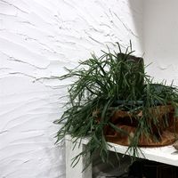 田川産業 しっくい NURI2 ピンクベージュ 5kg 4580339280251 1缶（直送品）