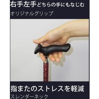 フジホーム かるがもロータリー　伸縮　ローズ WB3833 1個（直送品）