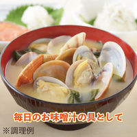 「業務用」 IBC都デリカ 殻付あさり41/50 243860 1ケース　500g×20PC　冷凍（直送品）