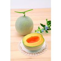 鹿内青果 【お中元ギフト・熨斗付き】鹿内青果 北海道メロン&三方六セット 20192 626423 1セット（直送品）