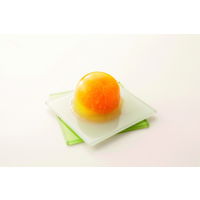 小南農園 【お中元ギフト・熨斗付き】小南農園 田村みかんまるごとゼリーセット MT-12 424143 1セット（直送品）