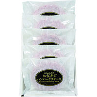 【お中元ギフト・熨斗付き】伊賀上野直売所 松阪牛入り生ハンバーグ HB5-50MA 800057 1セット サンショク（直送品）