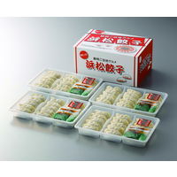 柳屋本店 【お中元ギフト・熨斗付き】柳屋本店 浜松餃子 HG-40 628600 1セット（直送品）