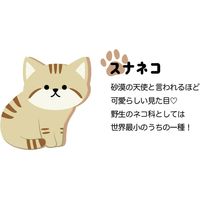 デコレコーポレーション わいるどマグ スナネコ WL-28539 1個（直送品）