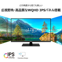 ASUS JAPAN <VPシリーズ>VP32AQ31.5型 解像度2560x1440、IPSパネル搭載液晶モニター) VP32AQ 1個（直送品）
