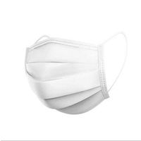 サカキL&Eワイズ 3層立体サージカルマスク 個包装 1箱（50枚入）日本製（わけあり品）