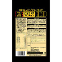 アクティブ プロテイン HMB 1セット（1袋（300g）×2）　オリヒロ