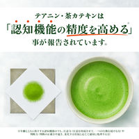 【機能性表示食品】 【水出し可】伊藤園 おーいお茶 お抹茶 スティック 1箱（32本入）