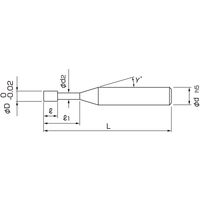 日進工具 ダイヤモンドコーティング2枚刃ロングネックエンドミル DCHR230 D0.5X6 1個（直送品）