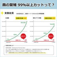 イトマン 抗菌ペーパータオルL200ダブルソフト 50200024 1袋(200組)