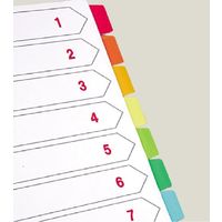 テージー カラーインデックスPP A4 30穴 10山 IN-3410 1組