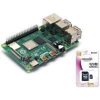共立電子産業 Raspberry Pi 4B (4GB) スターターセット/カメラ&メタルケースセット RASPi4-CAM 1セット（直送品）