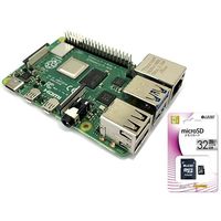 共立電子産業 Raspberry Pi 4B (8GB) スターターセット/レギュラー RASPi4-RGL8GB 1セット（直送品）