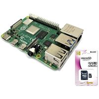 共立電子産業 Raspberry Pi 4B (8GB) スターターセット/カメラ&メタルケースセット RASPi4-CAM8GB 1セット（直送品）