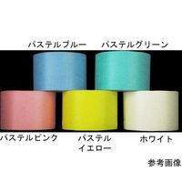 アイシス パステルカラーテープ (幅25mm×5m) ホワイト 64-8942-36 1巻（直送品）