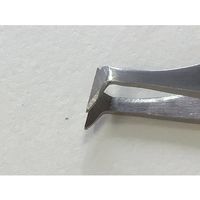野中理化器製作所 特殊ピンセット 先端ニッパー型 115mm 15A-FW 1本 64-8945-41（直送品）