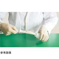 アイシス ディスポU字スパチュラ 非滅菌タイプ 白PS 23cm 20mL 100個入 64-9345-79 1袋(100個)（直送品）