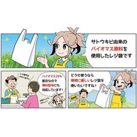 紺屋商事 バイオマスレジ袋乳白 E45W45 (100枚/冊) 0.016×300(440)×530 01042045 1パック(100枚)（直送品）