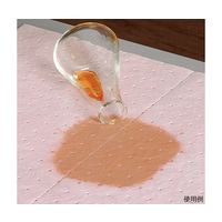 エー・エム・プロダクツ ハズマットピグRマット 250×330mm 25枚入 65-0548-51 1袋(25枚)（直送品）