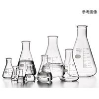 HARIO 三角フラスコ 3000mL 4個入 SF-3L SCI 1箱(4個) 6-017-28（直送品）