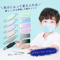 A4封筒 30枚 不織布 KF カラー マスク 子供用 個包装 約17.5×7cm ポスト郵便 使い捨て ファッション 衛生（直送品）