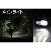 ジェントス CB2灯式ヘッドライト CB-632D 1個