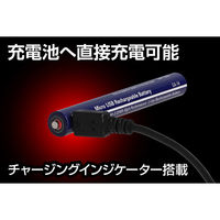 ジェントス ペンライト用充電池 GA-14 1個