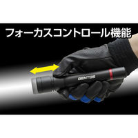 ジェントス RXトーチ RX-332D 1個