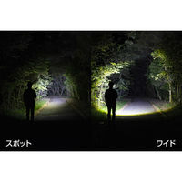 ジェントス RXトーチR RX-386R 1個