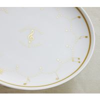 セトクラフト SCB-0916 プレート(Clear Tone) 1枚（直送品）