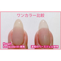 SHAREYDVA Ｎｏａ ｇｅｌ（ノアジェル） Ｂａｓｅ＆Ｃｏｌｏｒ 3 ４ｇ 1個（直送品）