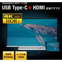 サンワサプライ USB Type C-HDMI変換アダプタ(4K/60Hz/HDR対応) AD-ALCHDR02 1個