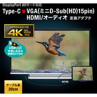 サンワサプライ USB Type C-HDMI/VGA変換アダプタ(4K/30Hz/PD対応) AD-ALCHV02 1個