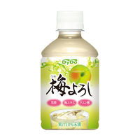 ダイドードリンコ 梅よろし 280ml 1セット（48本）