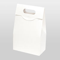 ヤマニパッケージ ハンディバッグS白 100枚 16-225 1ケース(100枚入)（直送品）