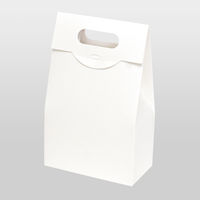 ヤマニパッケージ ハンディバッグM白　100枚 16-226（直送品）