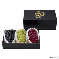 ヤマニパッケージ L-2372 こだわりの黒 140H 大 40枚(10×4) 582682 1ケース(40枚入(10枚×4袋))（直送品）